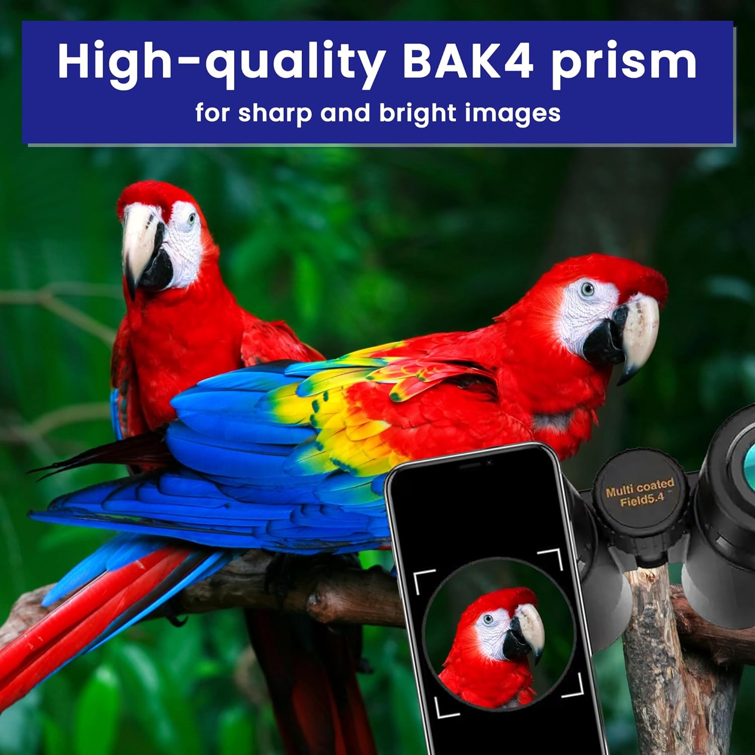 20 x 50 High Power Binoculars for Adults, Men & Women - HD Zoom Binoculars with BAK4 Prism & Smartphone Adapter - Lightweight Binoculars for Hunting, Bird Watching, Astronomy, Stargazing & Concerts - Thunderb Store