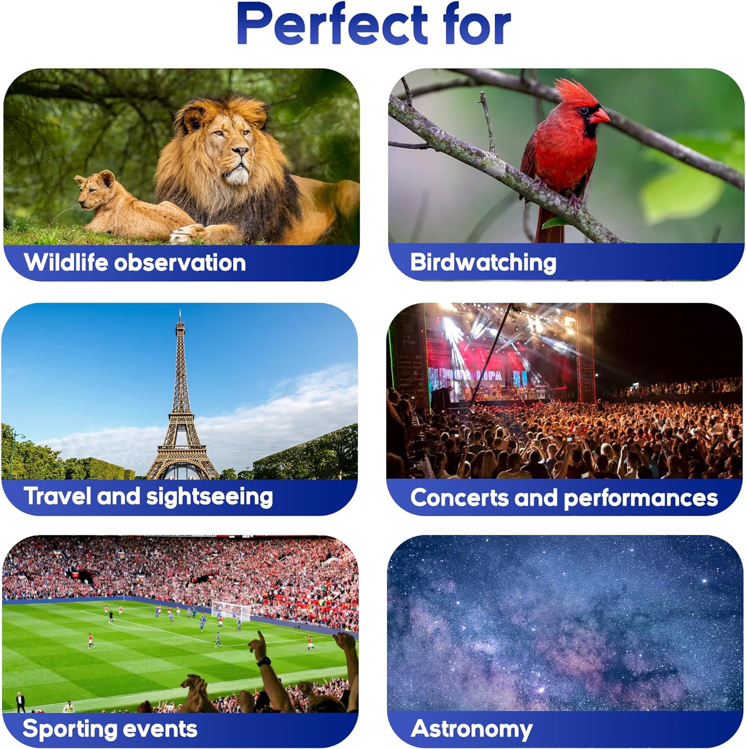 20x50 High Powered Adult Binoculars - HD Binoculars with BAK4 Prism & FMC Multilayer - Compact Binoculars for Hunting, Bird Watching, Sport Games, Concerts - Waterproof & Fogproof - Thunderb Store