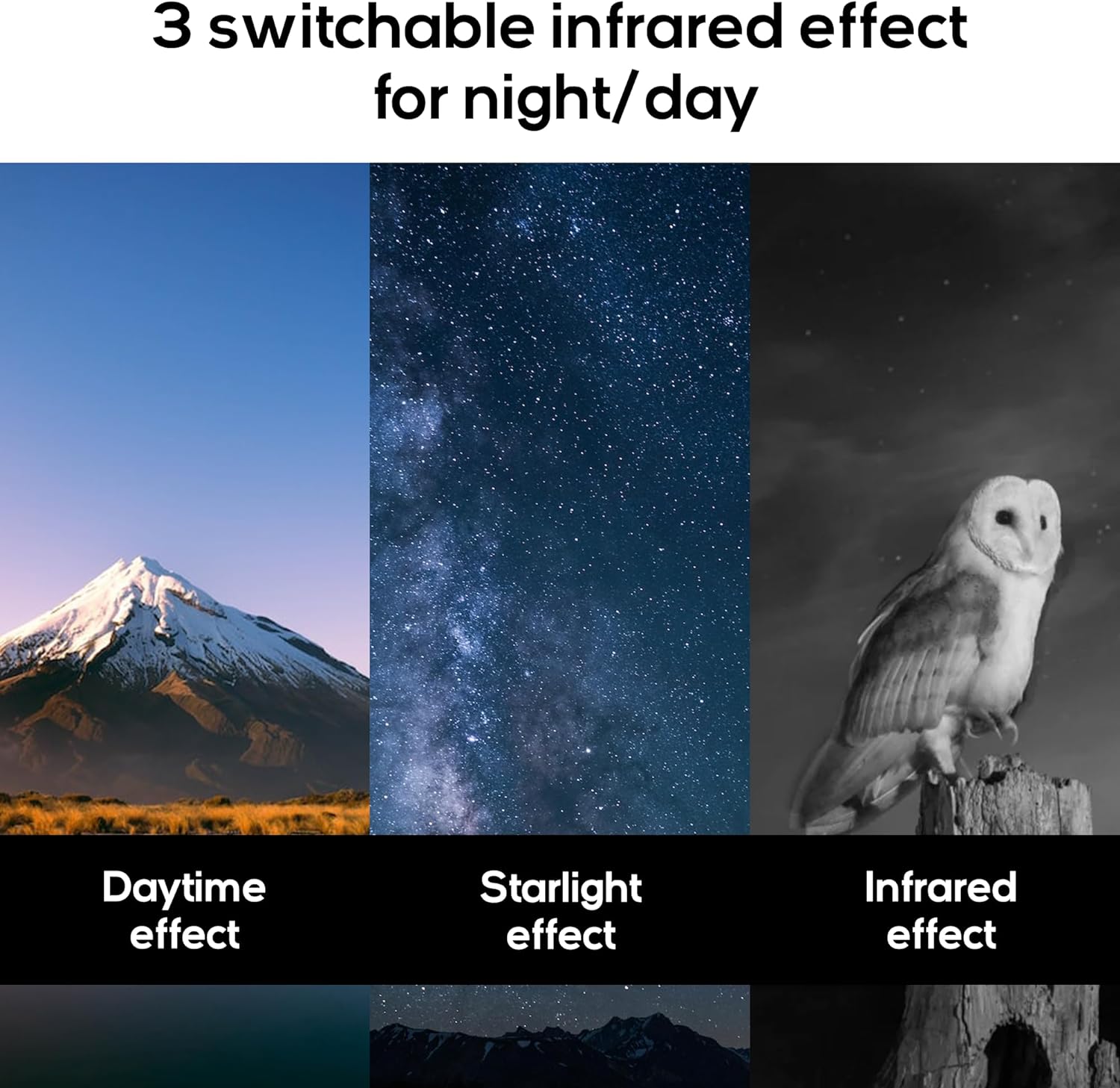 Night Vision Goggles - Powerful Digital Binoculars for Adult, Hunting, Bird Watching, Football Games, Stargazing, Camping, Concerts & Low Light Situation - Rechargeable & Large Viewing Screen - Thunerb Store