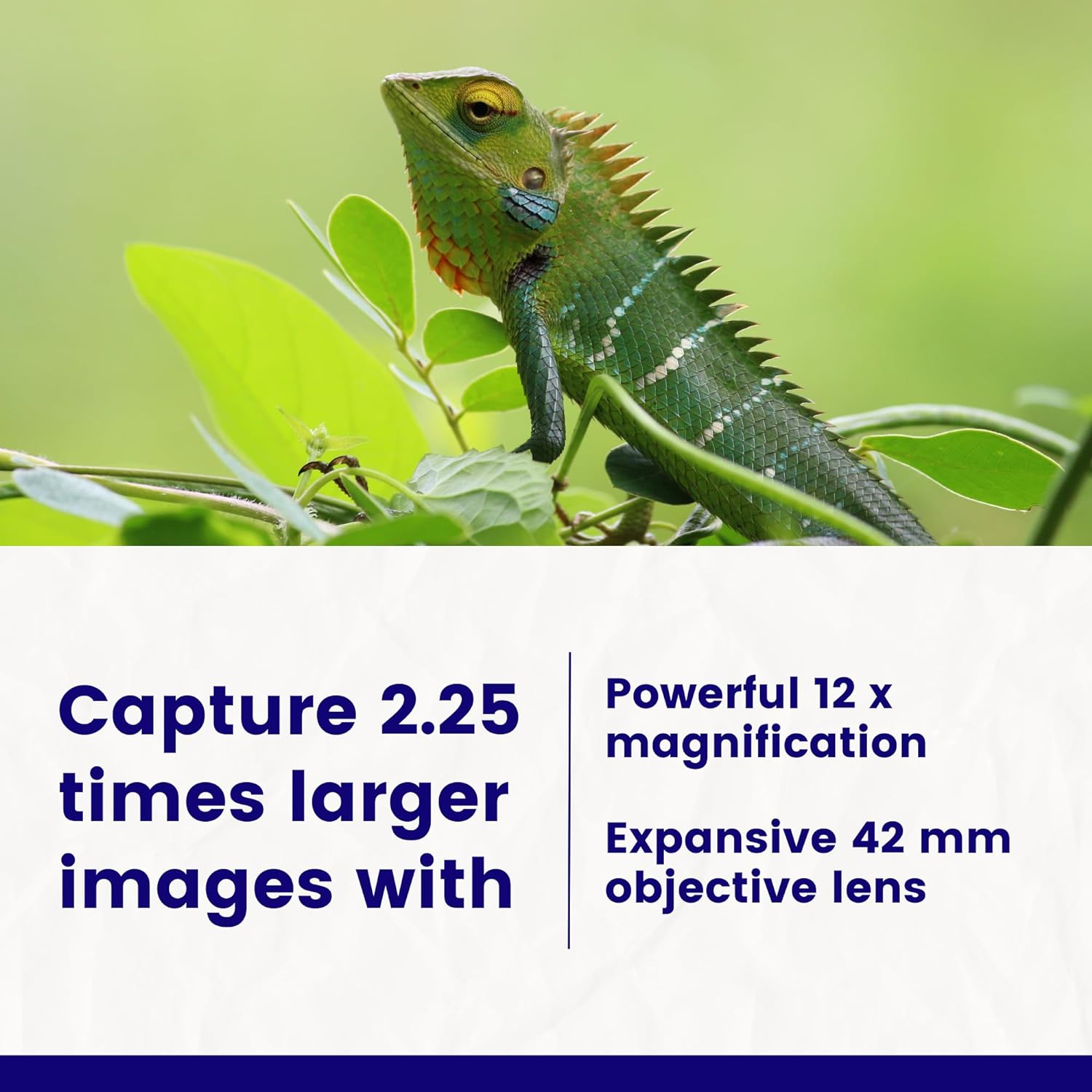 Thunderb 12x42 High Powered Binoculars for Adults with Phone Adapter, Tripod and Tripod Adapter- Clear Large View for Birdwatching, Hiking, Camping, Stargazing, Sport Games, Concerts (Black) - Thunderb Store